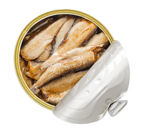 CANNED FISH